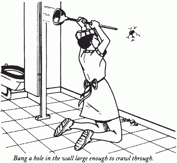 bang_a_hole
