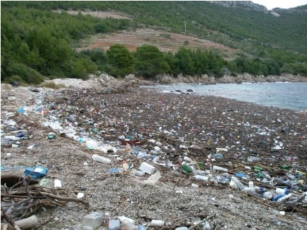ekologija_1 ekologija_1