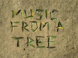 Diego Stocco: muzika iz drveta